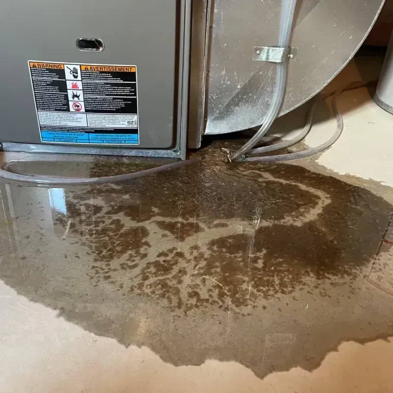 Appliance Leak Cleanup in Cato, WI